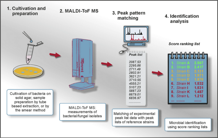 Other MALDI-ToF MS Ressources - MicrobeMS Wiki